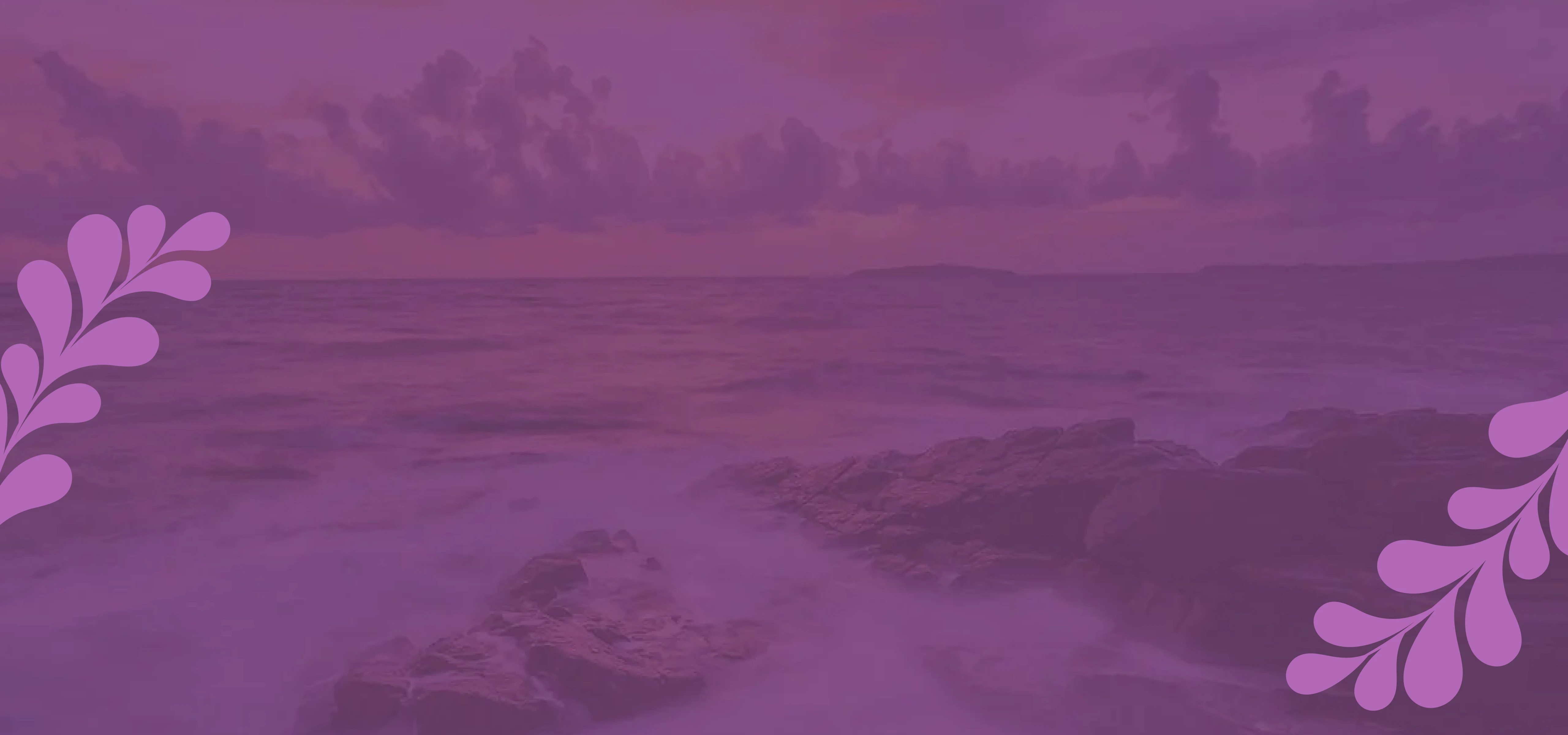 bg_sec_img_home